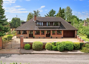 image of The Homestead, 