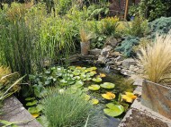 Images for Grosvenor Wood, Bewdley