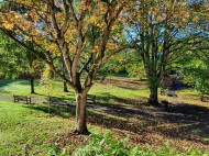 Images for Old Tannery Court, Severnside South, Bewdley