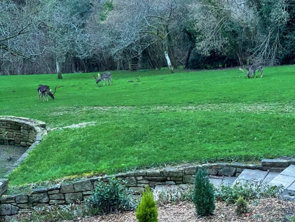 Images for Adze Hall, Button Bridge, Buttonbridge, Kinlet