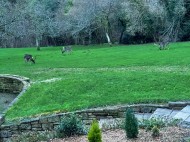 Images for Adze Hall, Button Bridge, Buttonbridge, Kinlet