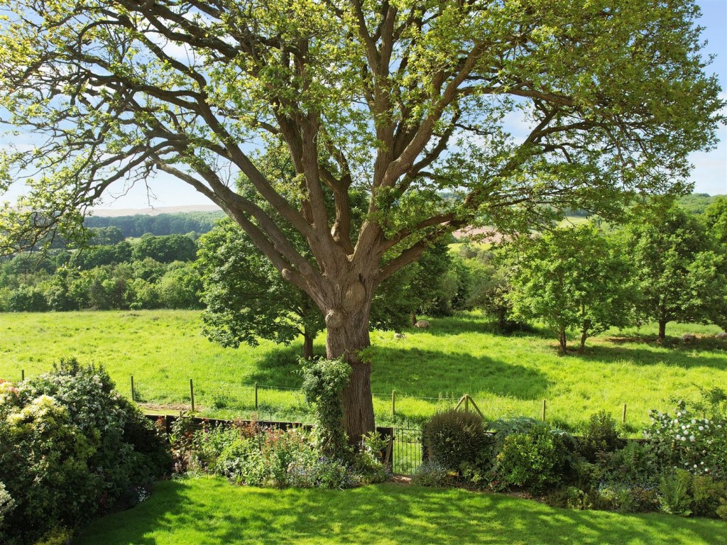 Images for Park Dingle, Bewdley