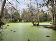 Images for Kingsford Lane, Wolverley, Kidderminster