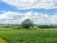 Images for Quarry Road, Rock, Kidderminster